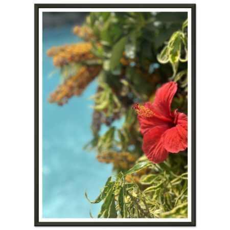 fd5807d6-d49e-46b5-a641-39170944f338